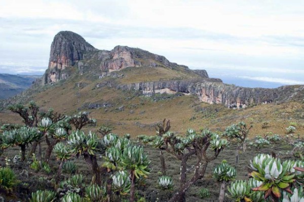 MT.  ELGON NATIONAL PARK