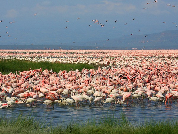 LAKE NAKURU NATIONAL PARK